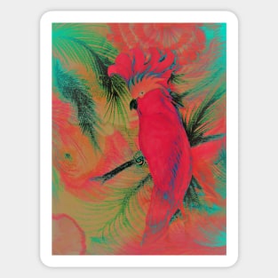 BRIGHT TROPICAL PARROT COCKATOO VIBRANT PALM EXOTIC BIRD POSTER PRINT ART DECO Sticker